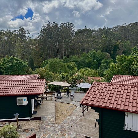 Mimosa Village - Turismo De Natureza Mortagua Ngoại thất bức ảnh