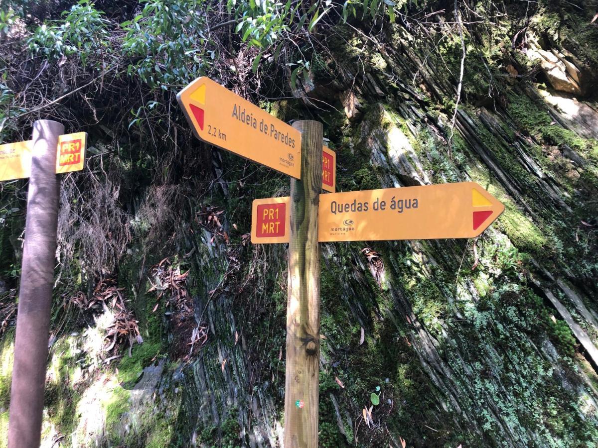 Mimosa Village - Turismo De Natureza Mortagua Ngoại thất bức ảnh