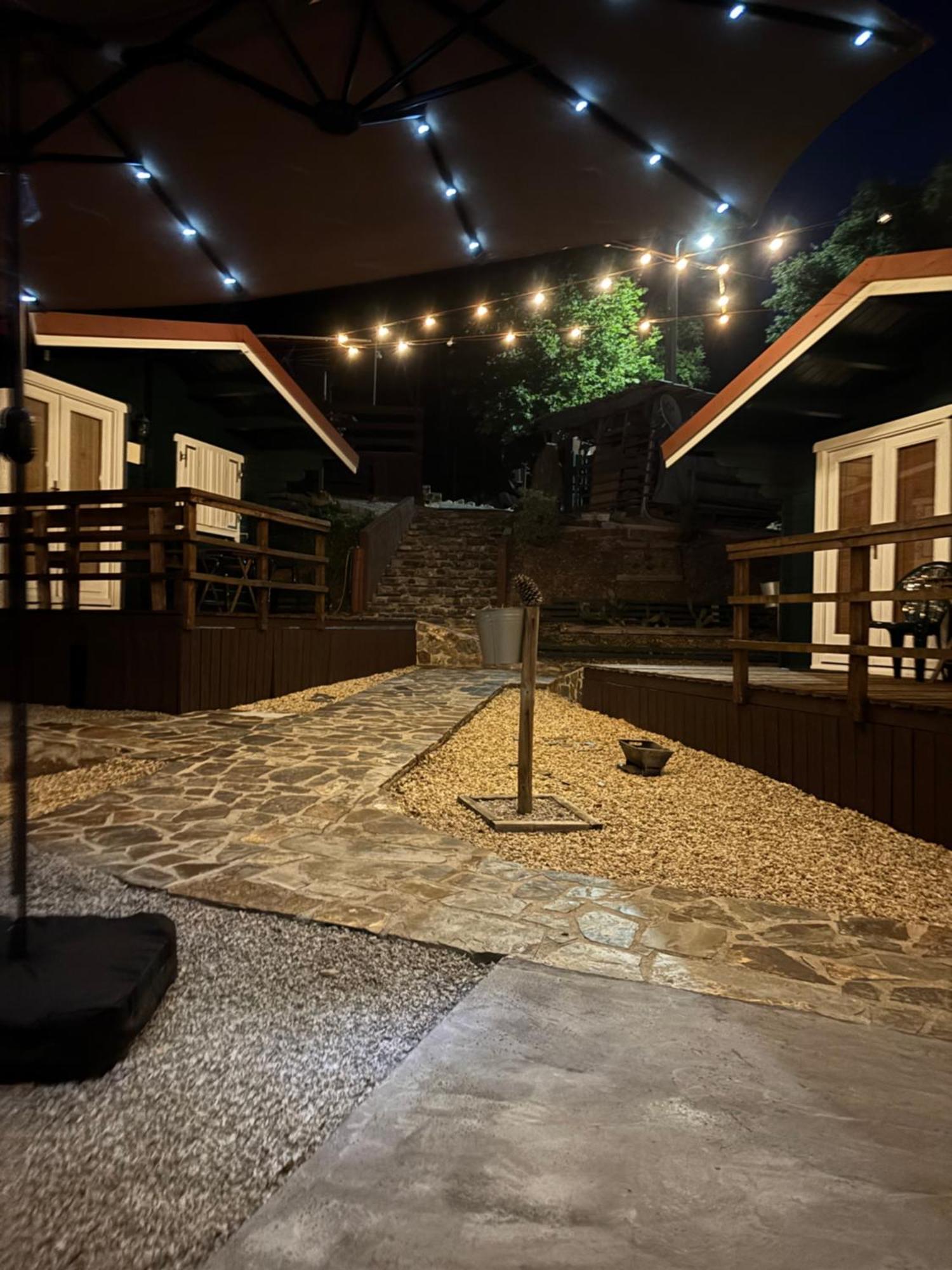 Mimosa Village - Turismo De Natureza Mortagua Ngoại thất bức ảnh